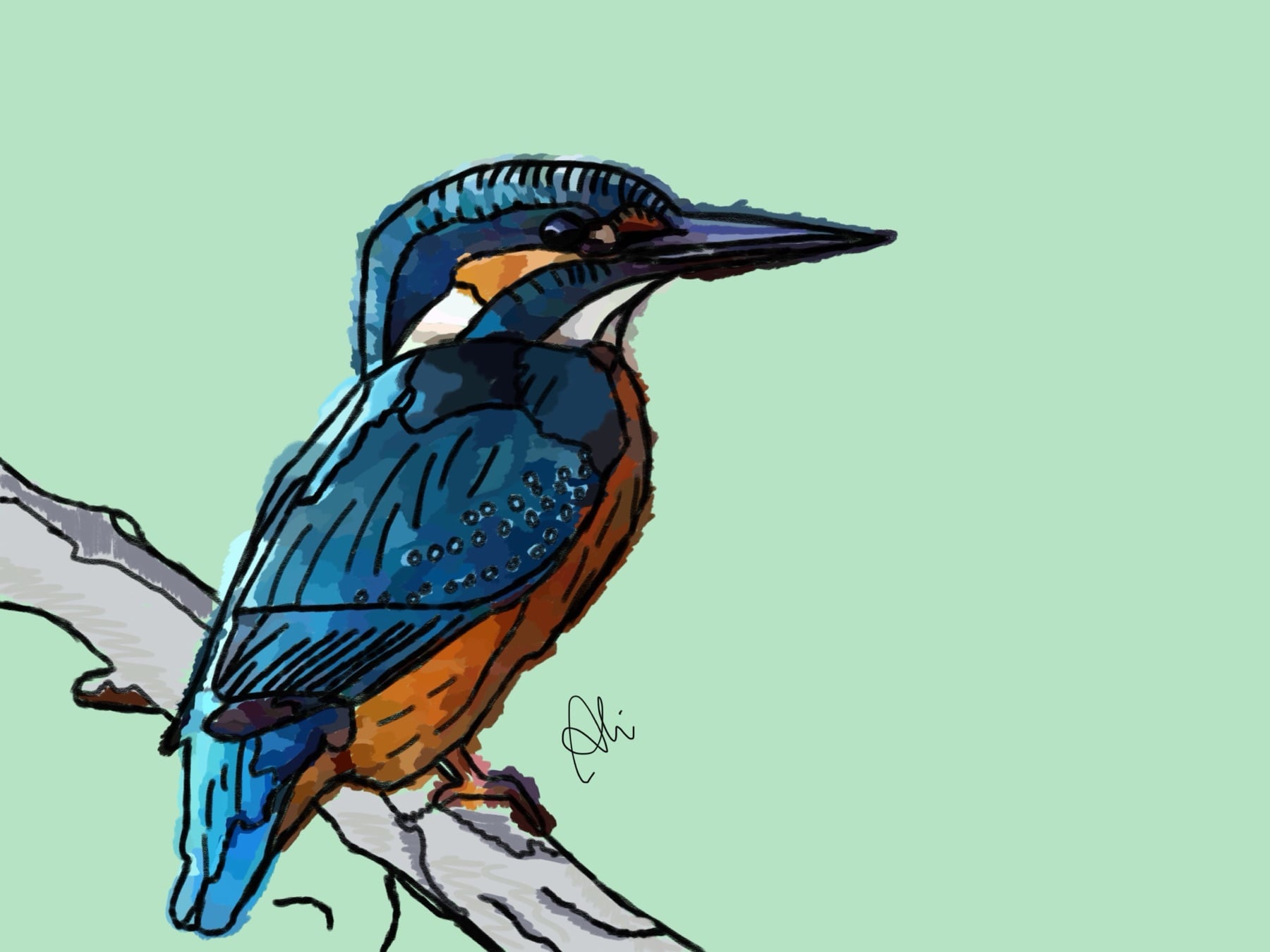 BirdyNumNum Drawing