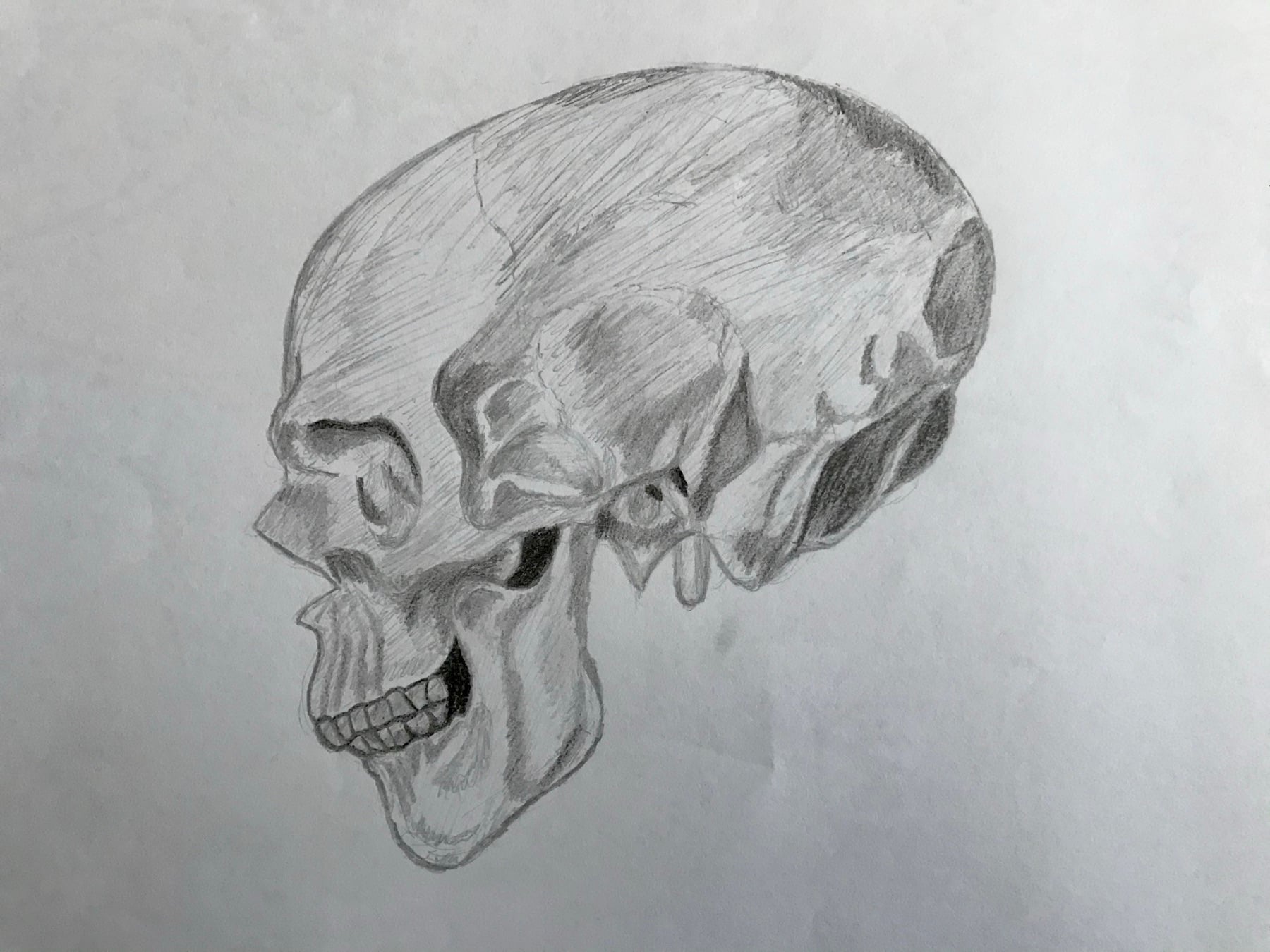 DeSkull Drawing